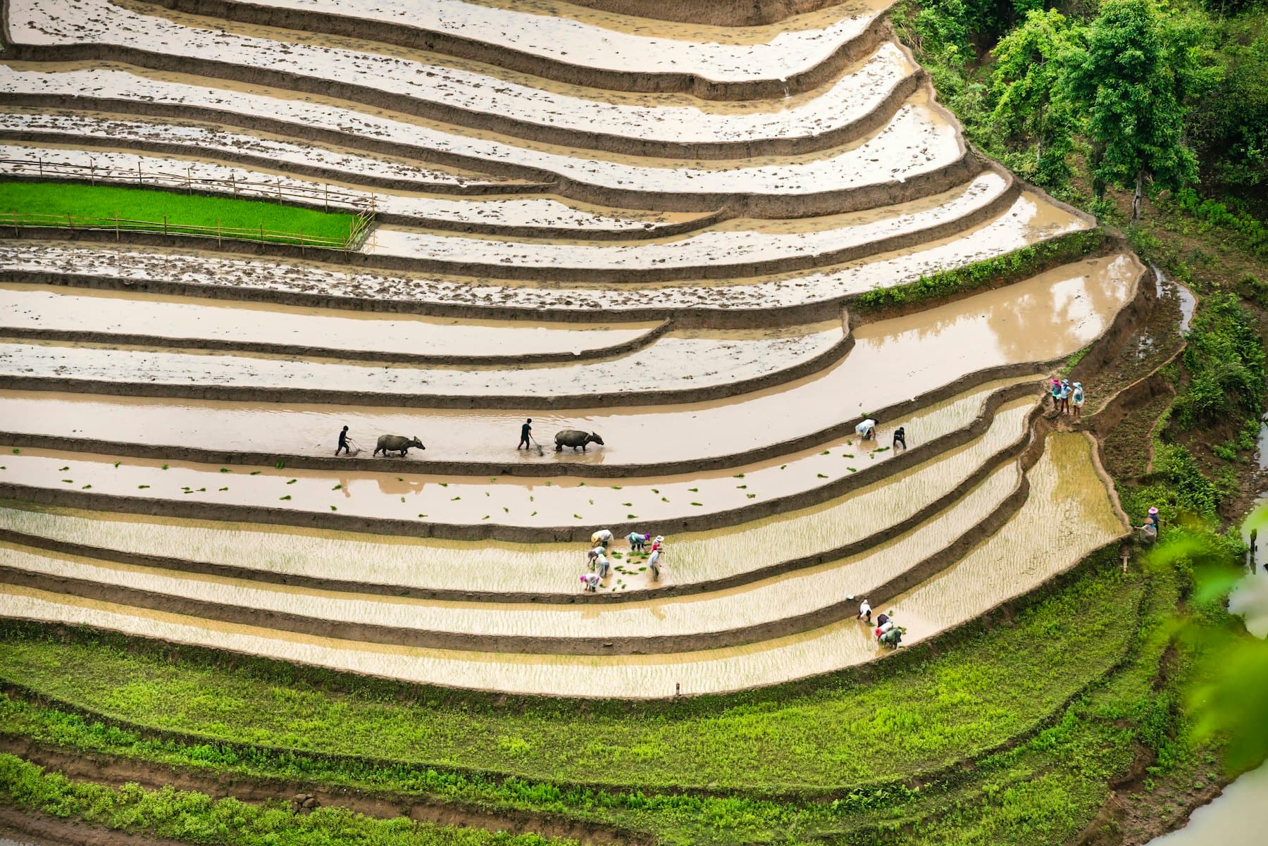 Agricultural land (representative photo)