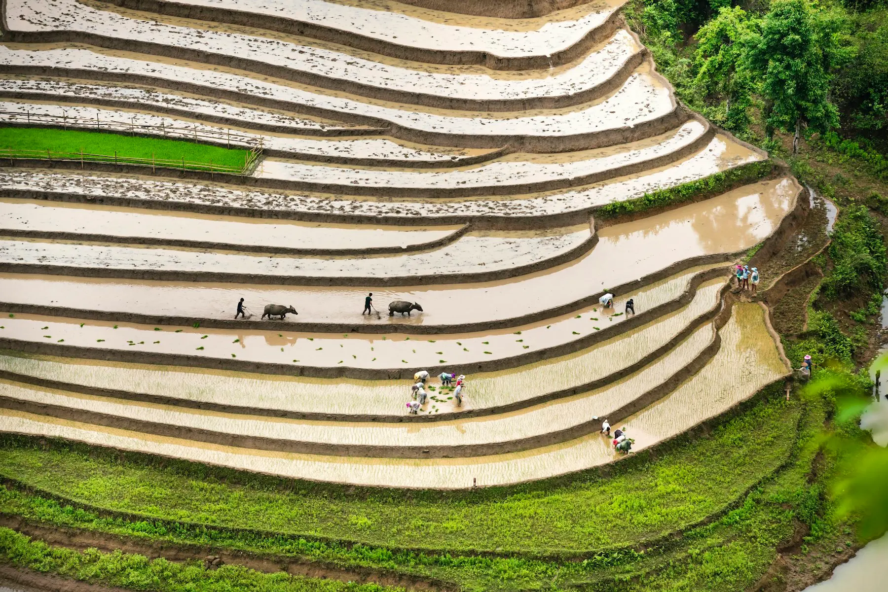 Agricultural land (representative photo)