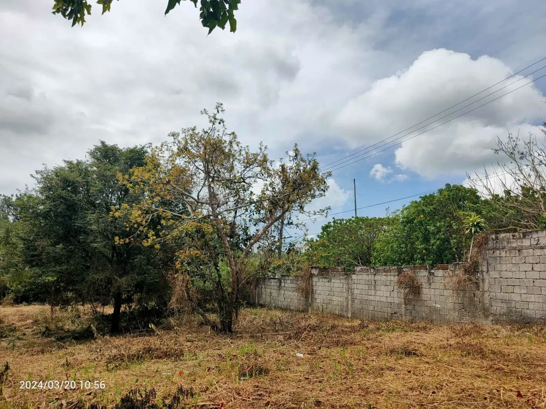 Tagaytay Farm Lot With House, photo 2