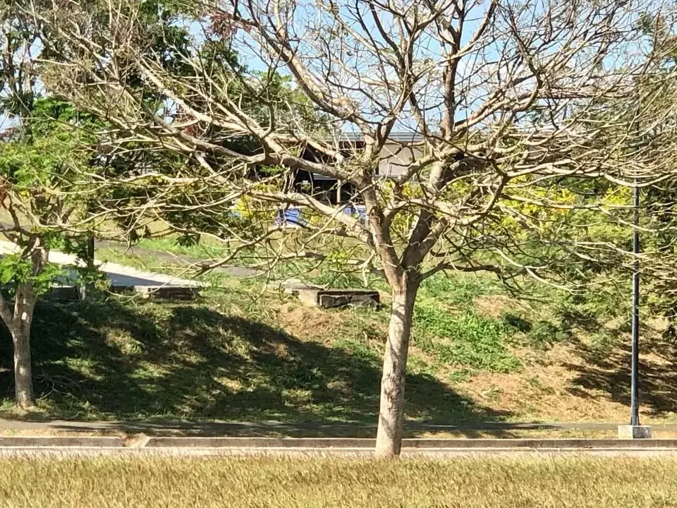 Lumira, photo 2