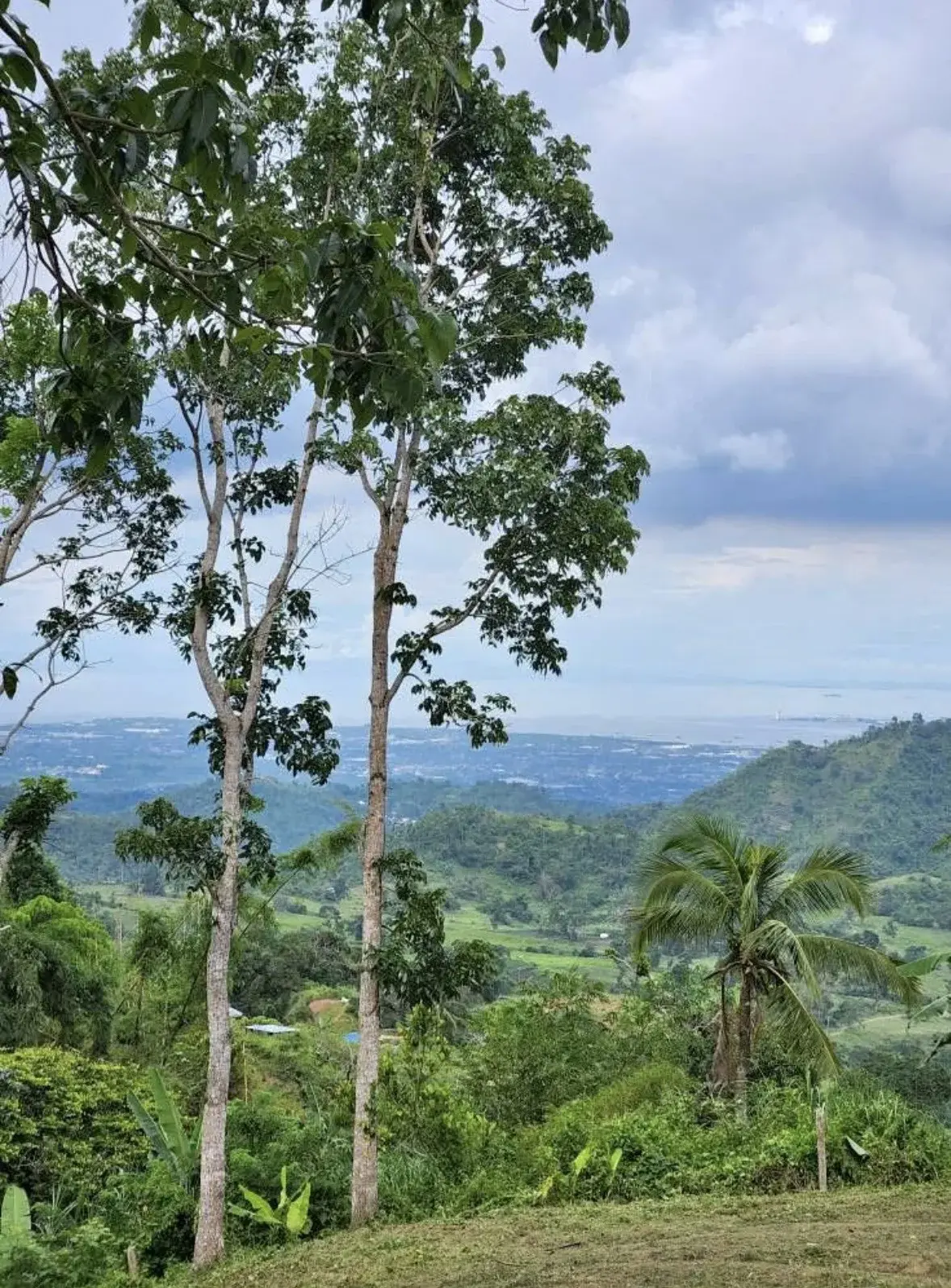 Upper Busay, photo 2