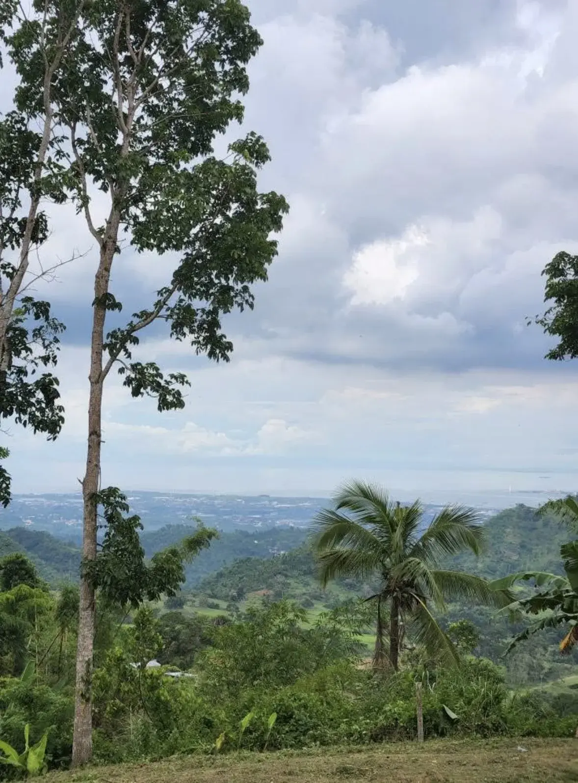 Upper Busay, photo 3