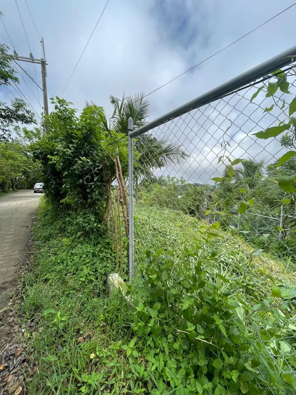Tagaytay, photo 3