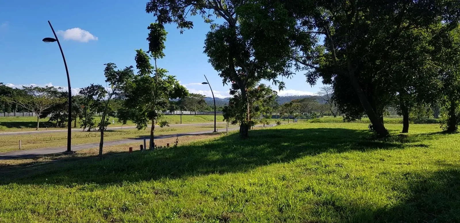 Luscara Nuvali, photo 3