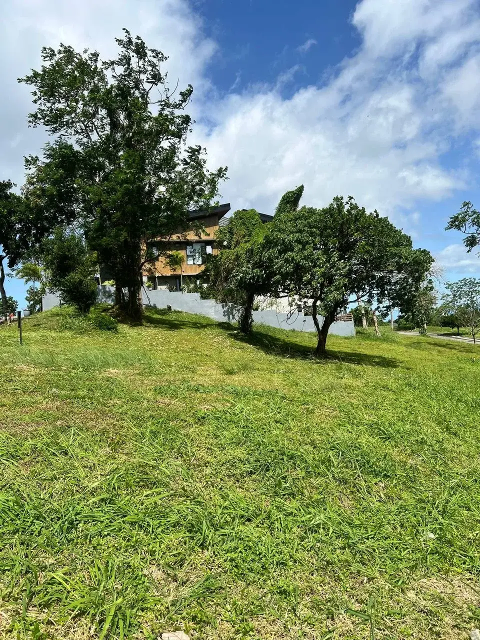 Ayala Greenfield Estates, photo 2