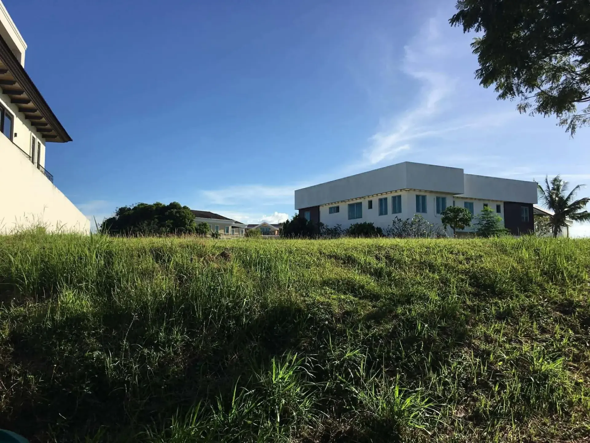 Ayala Southvale Primera