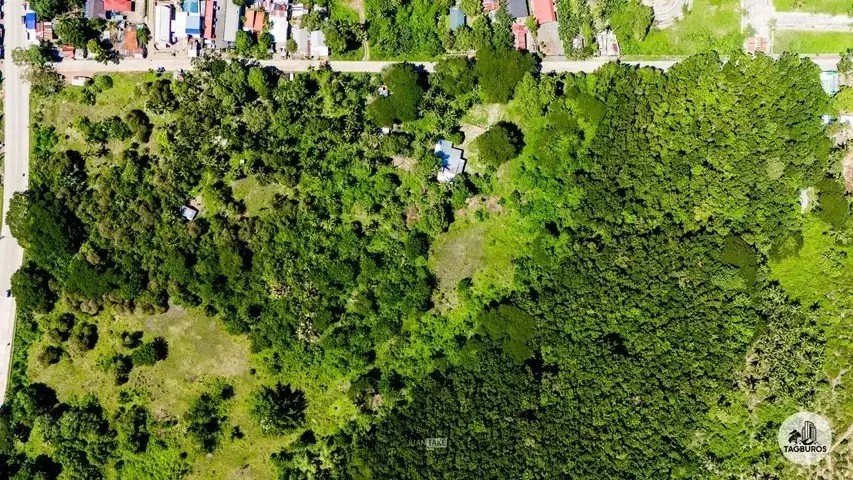 Tagburos Property, photo 2
