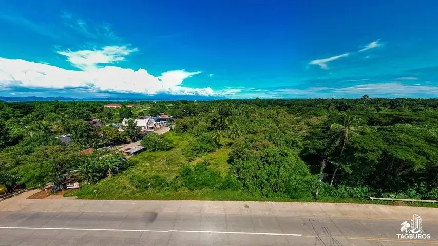 Tagburos Property, photo 3
