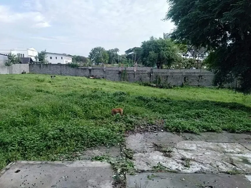 Amuntay Road, photo 3