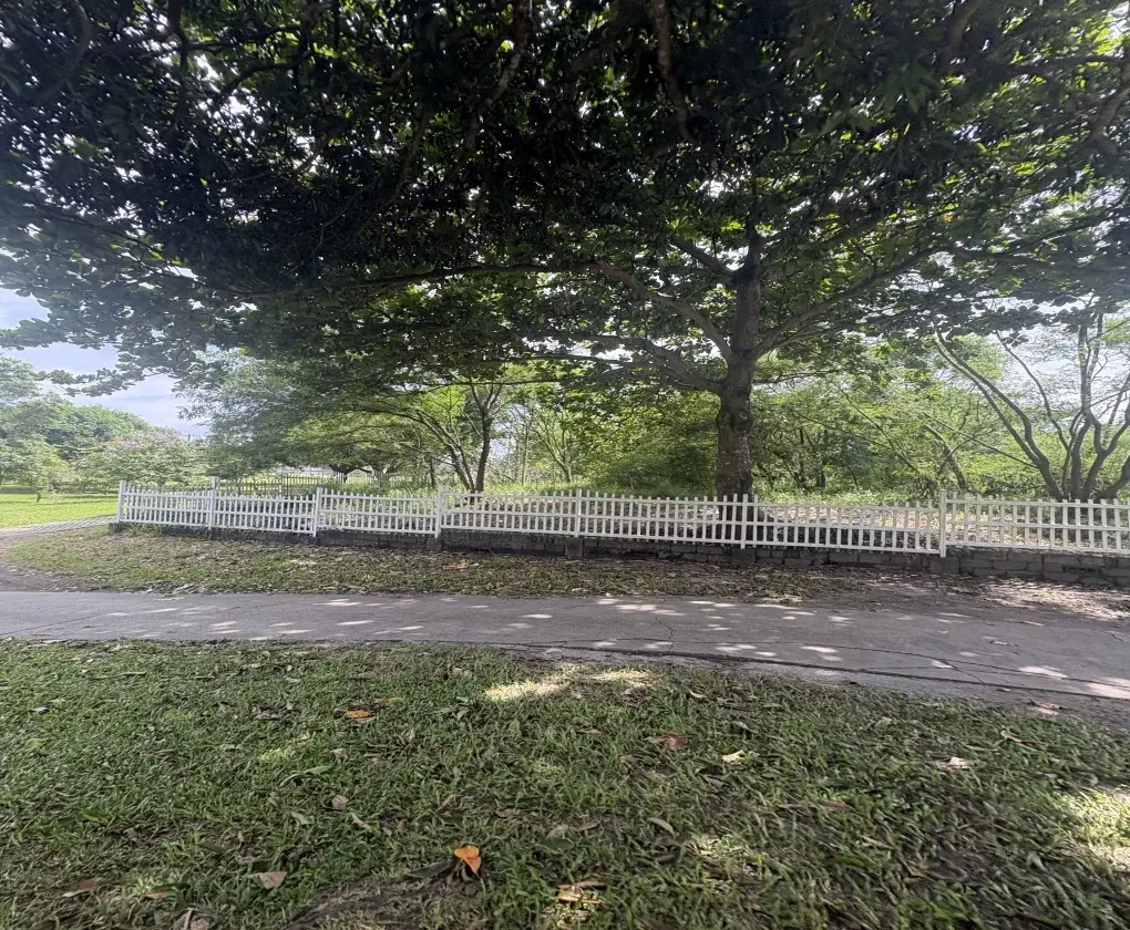 Orchard Golf And Country Club