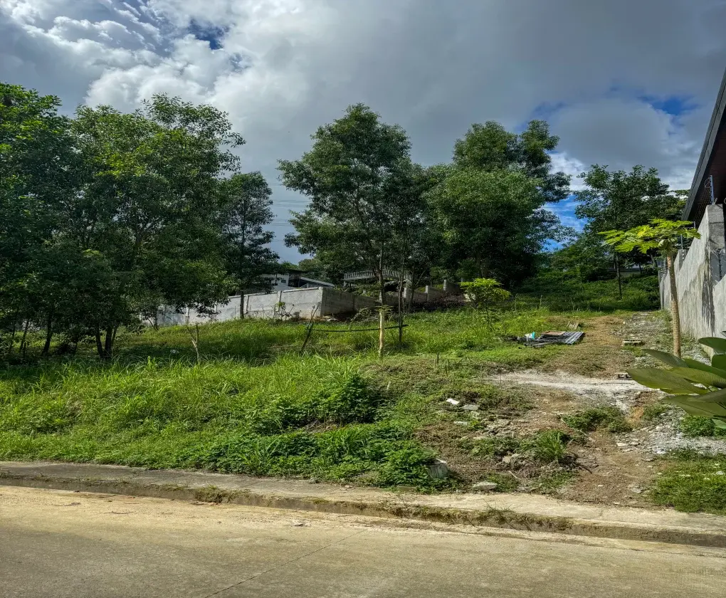 Sun Valley Residential Estates, photo 2