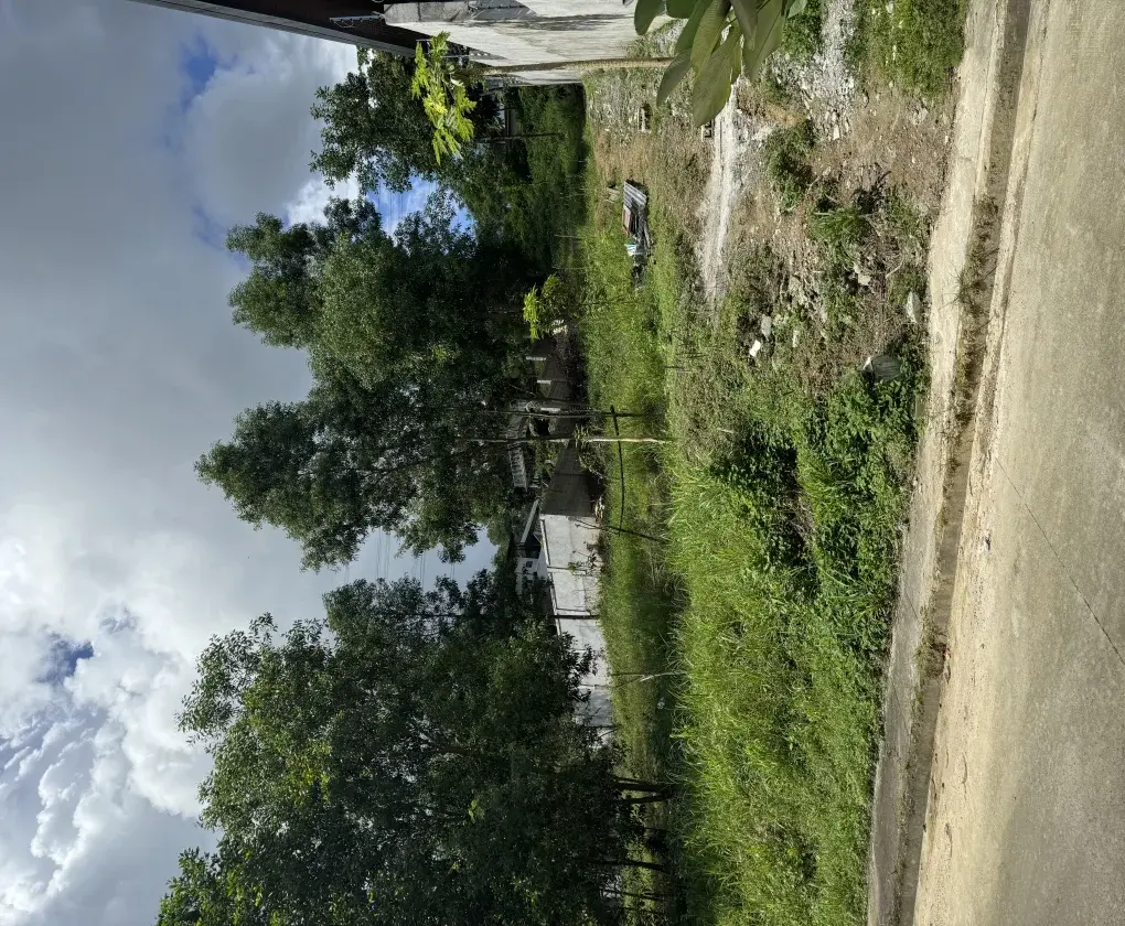 Sun Valley Residential Estates, photo 3