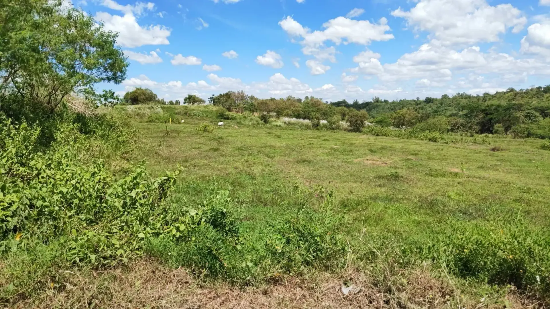 Agricultural Lot - Brgy. Moriones, San Jose, Tarlac (along Highway)