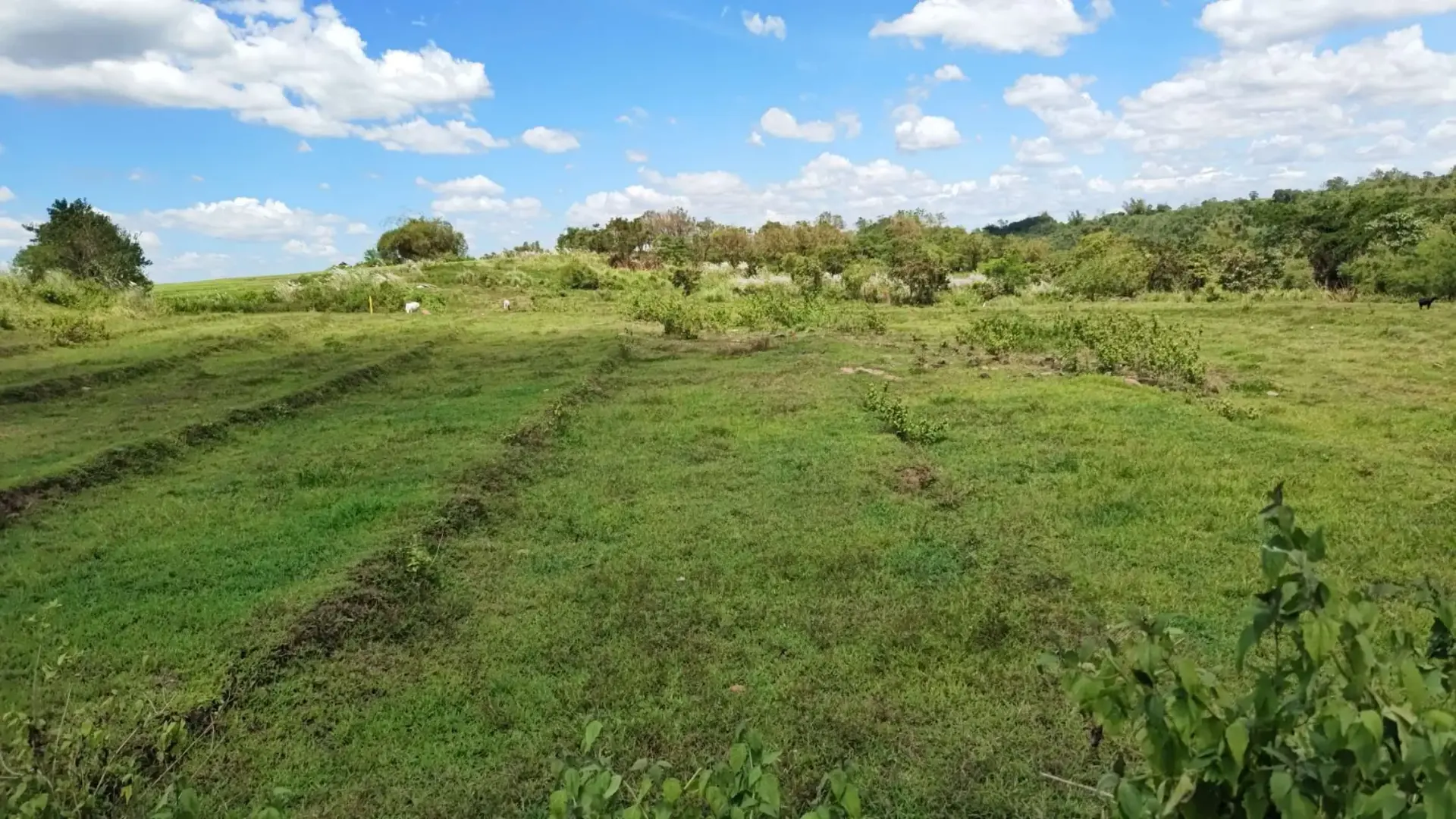 Agricultural Lot - Brgy. Moriones, San Jose, Tarlac (along Highway), photo 2