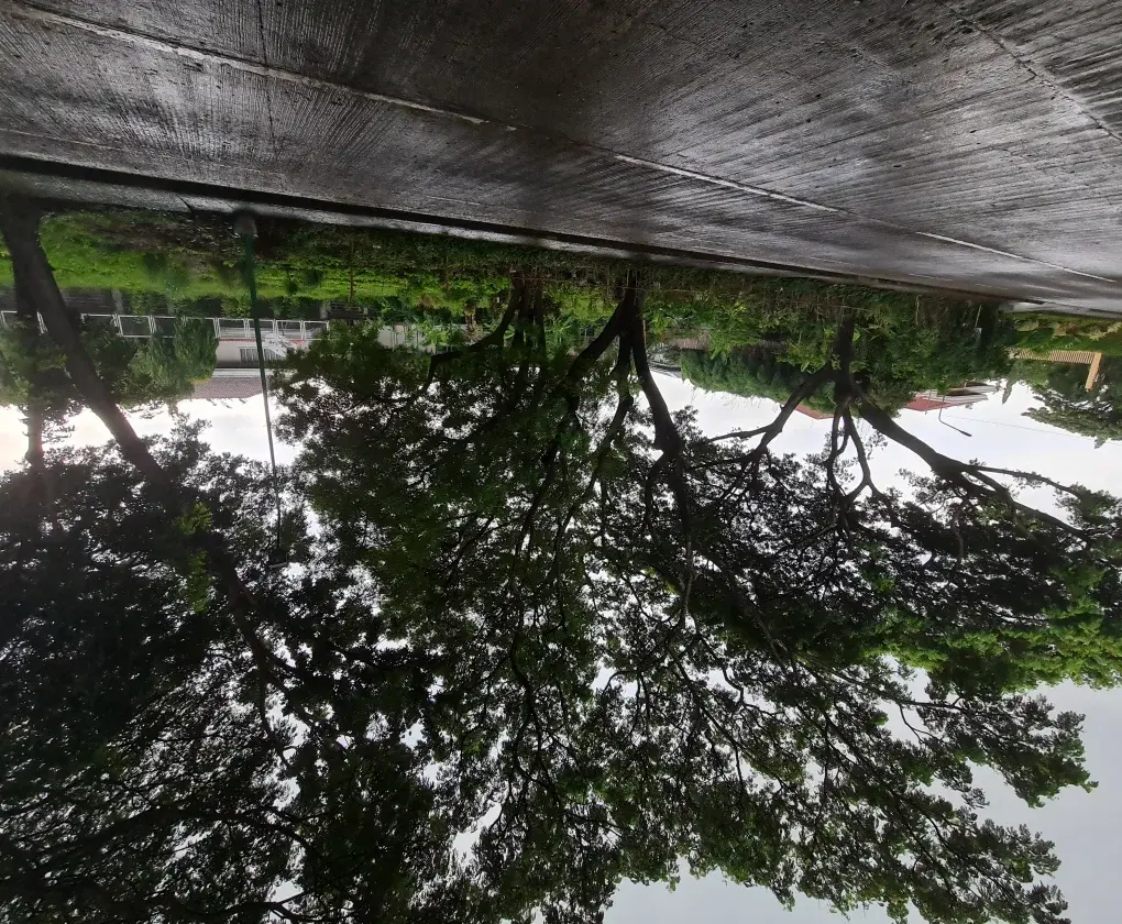 Ayala Alabang, photo 2
