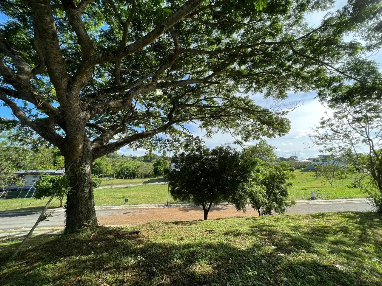 Ayala Westgrove Heights