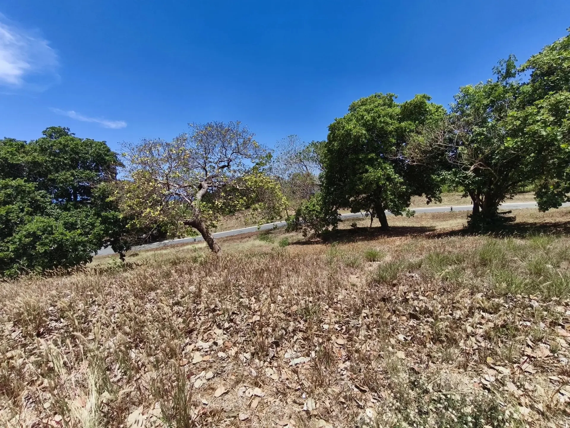 Anvaya Cove, photo 2