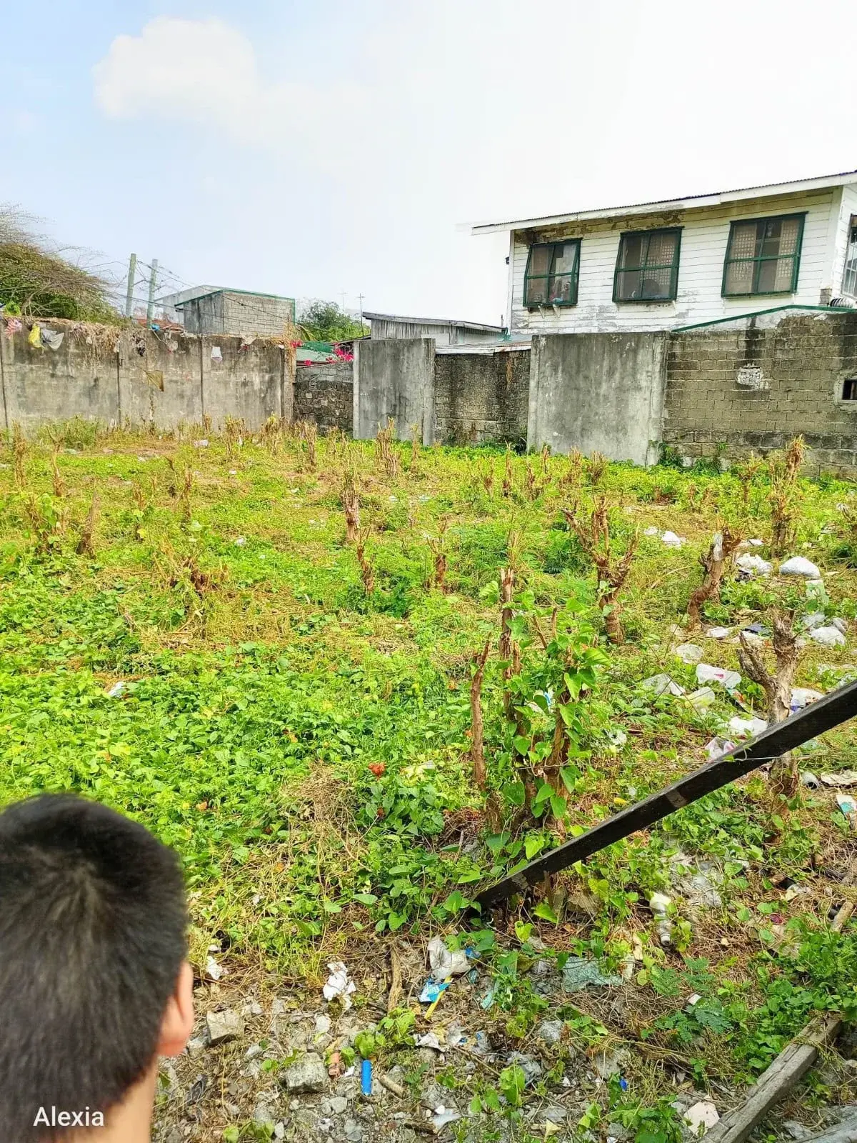 Commercial Lot In Cavite City Near Sangley Airport Gate, photo 2