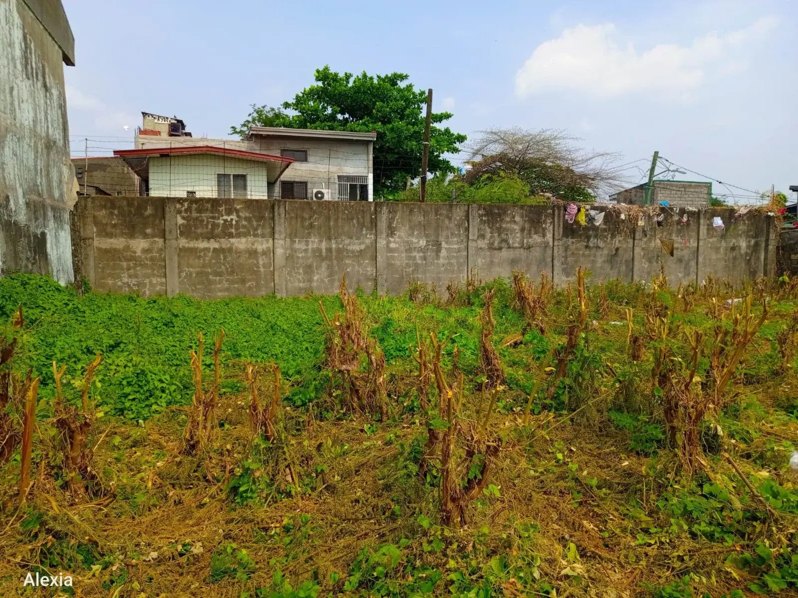 Commercial Lot In Cavite City Near Sangley Airport Gate, photo 3