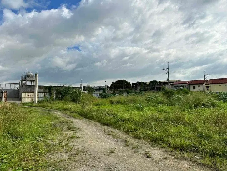 Palingon Lot, photo 2