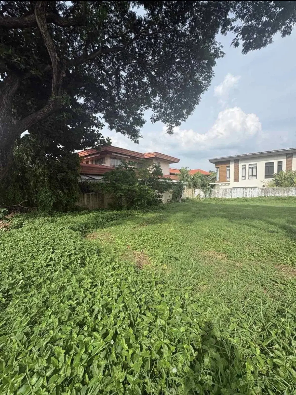 Ayala Alabang Village, photo 2