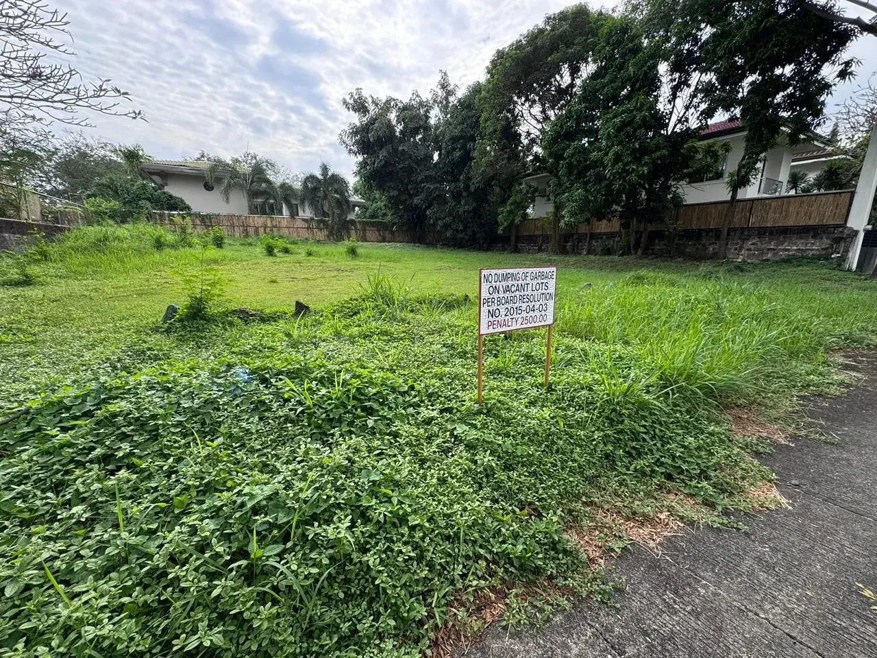 Ayala Alabang Village, photo 2