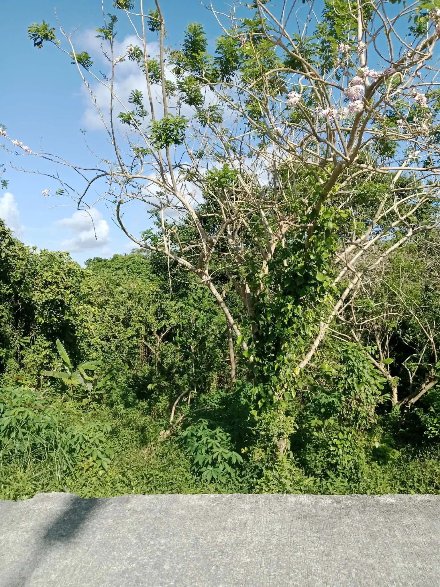 Tagaytay City