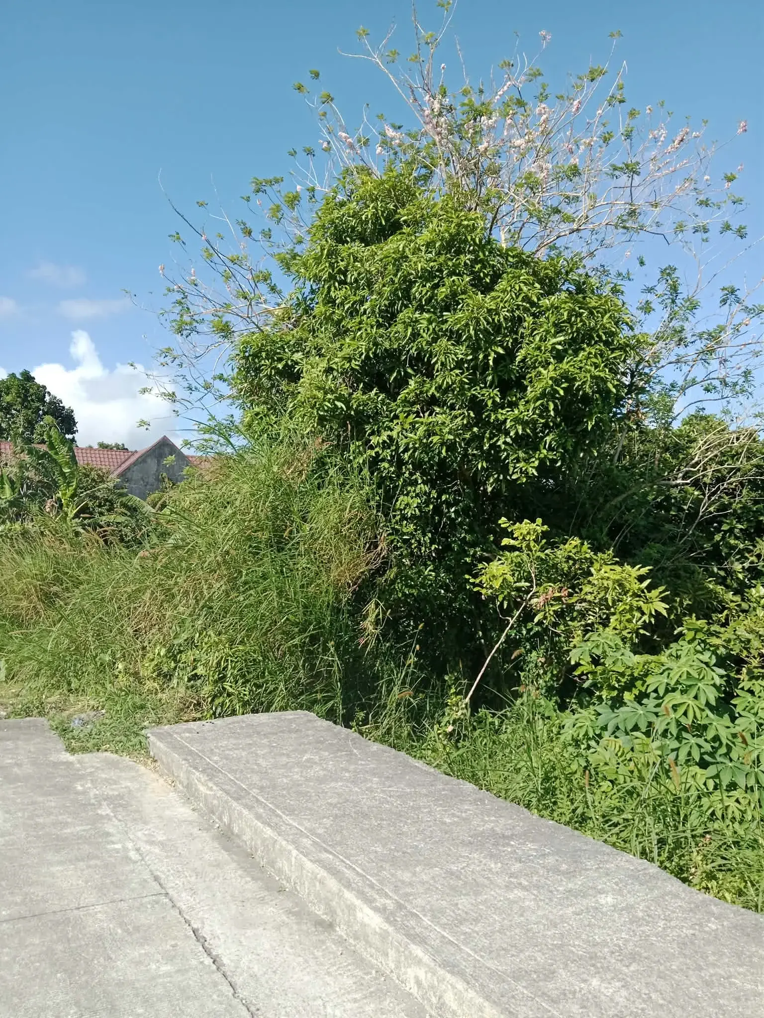 Tagaytay City, photo 2