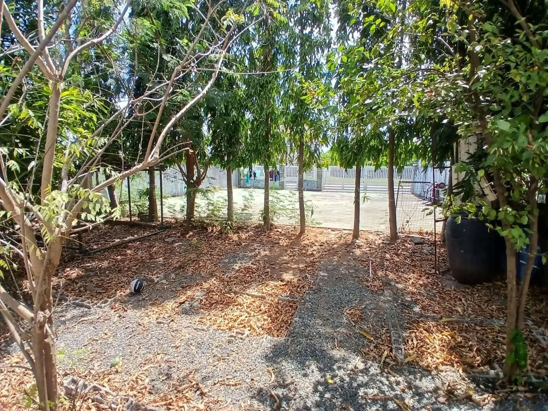 Brentiville Arborage A, photo 2