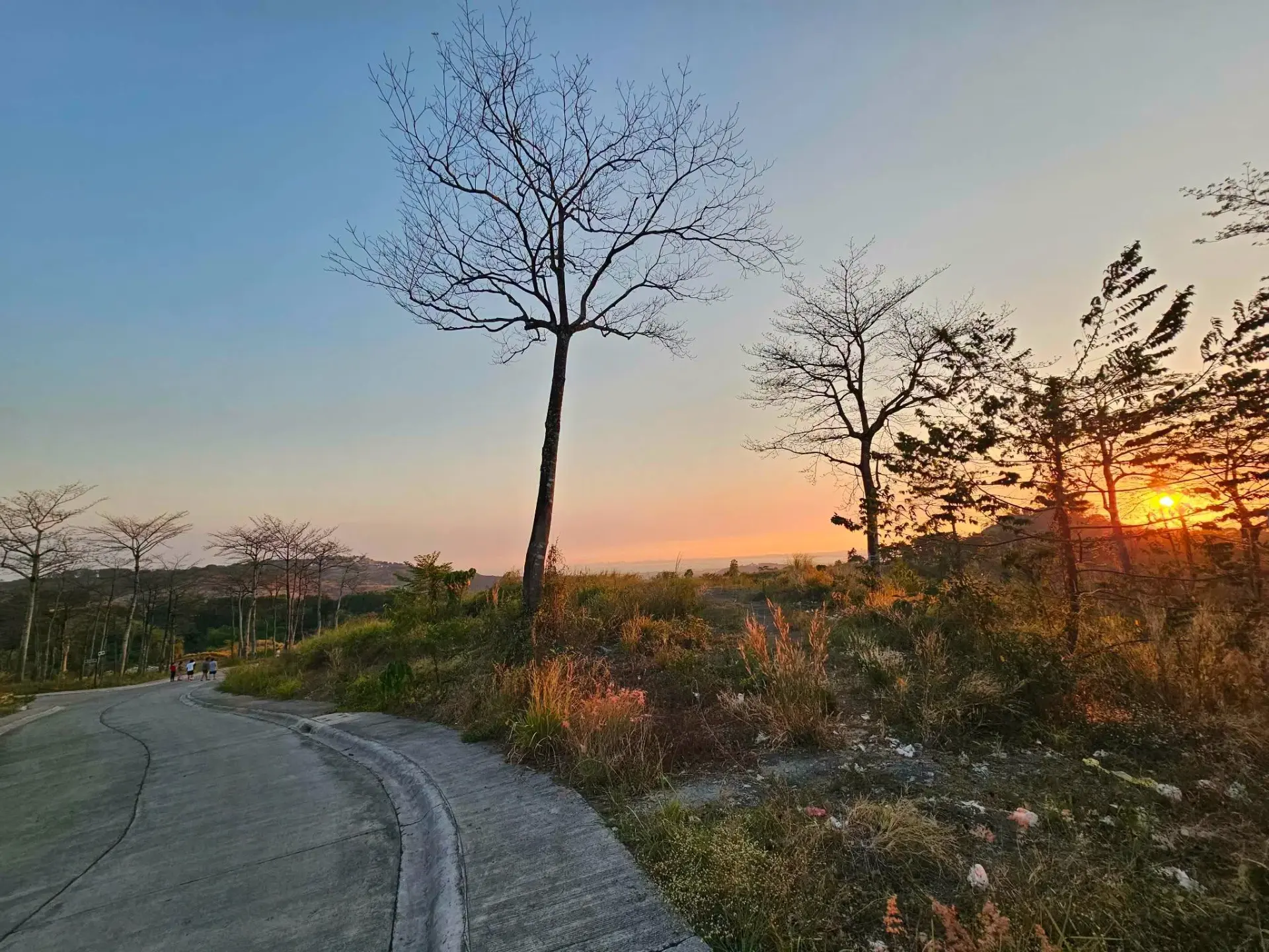 The Grove At Forest Farms By Havila, photo 3