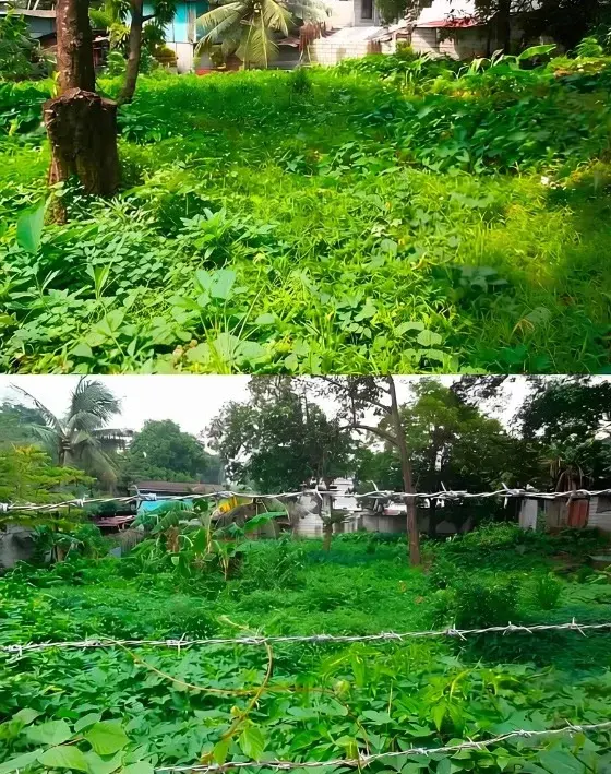 Vacant Lot In Caloocan, photo 2