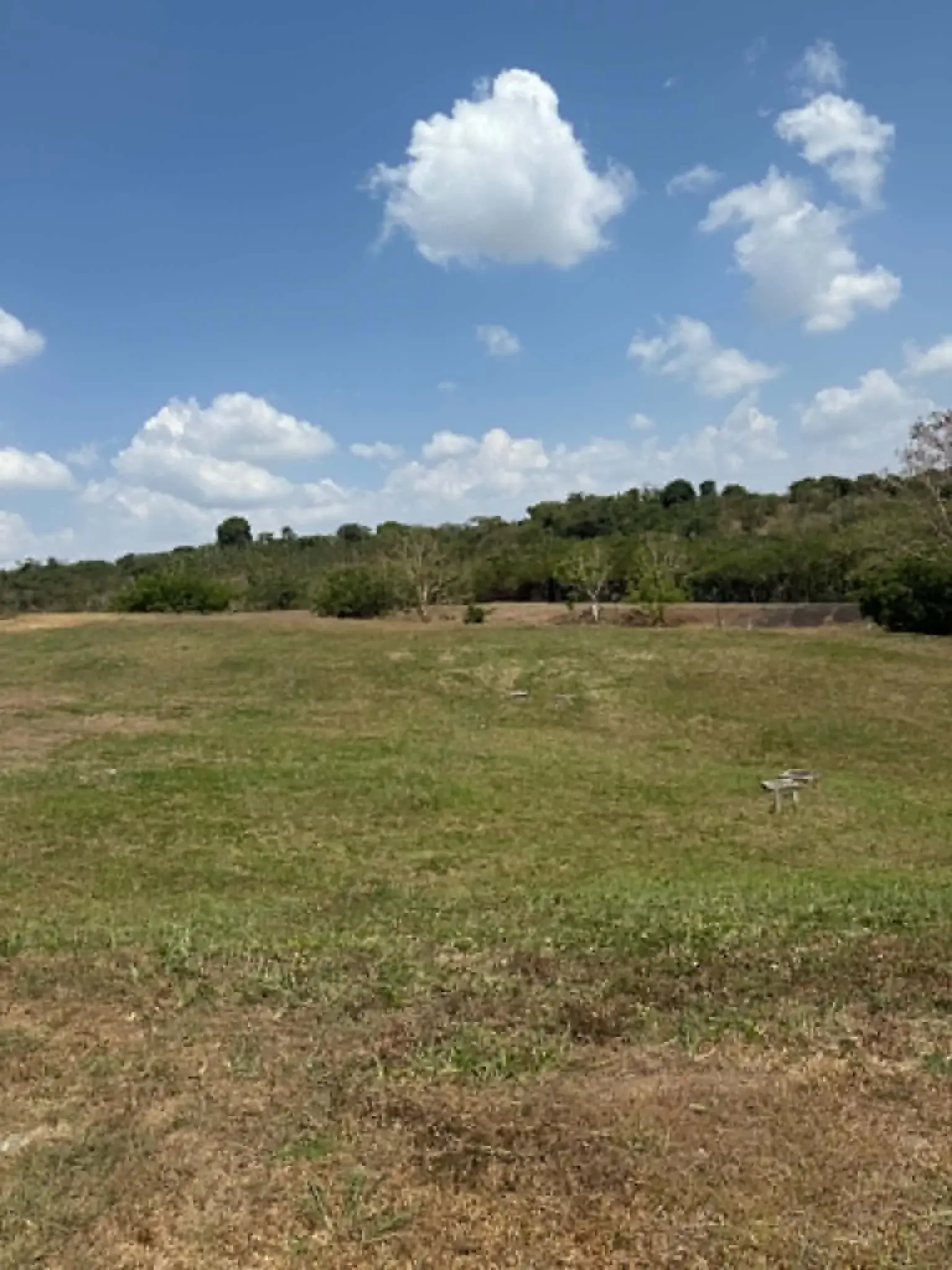 Ayala Westgrove Heights, photo 2
