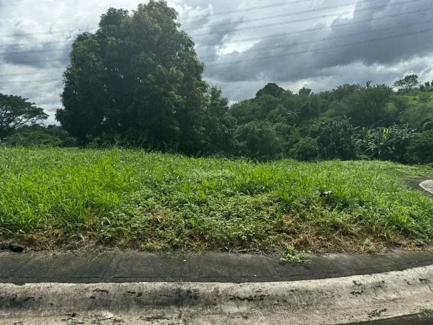Manila Southwoods