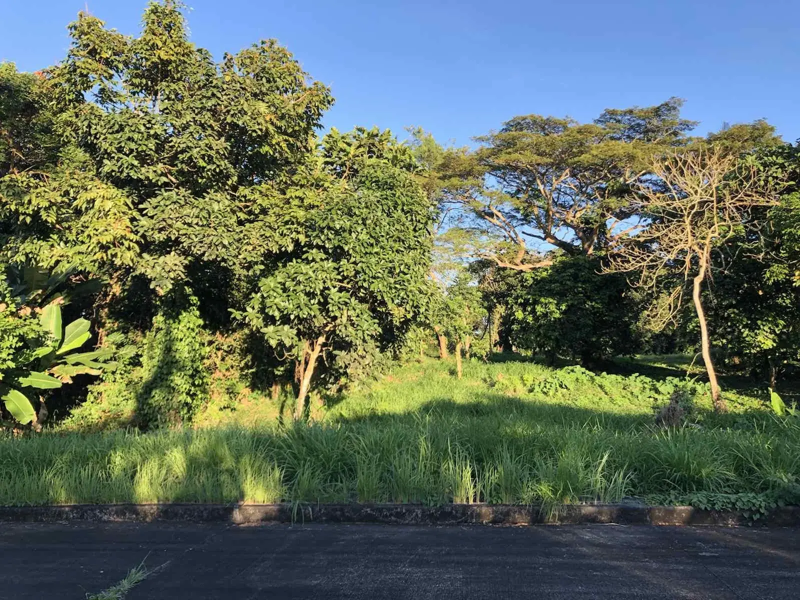 Riviera Residential Estates, photo 3