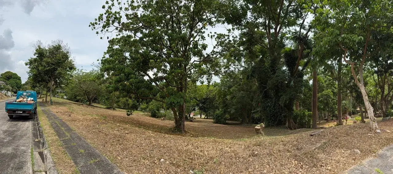 Ayala Greenfield Estates, photo 3