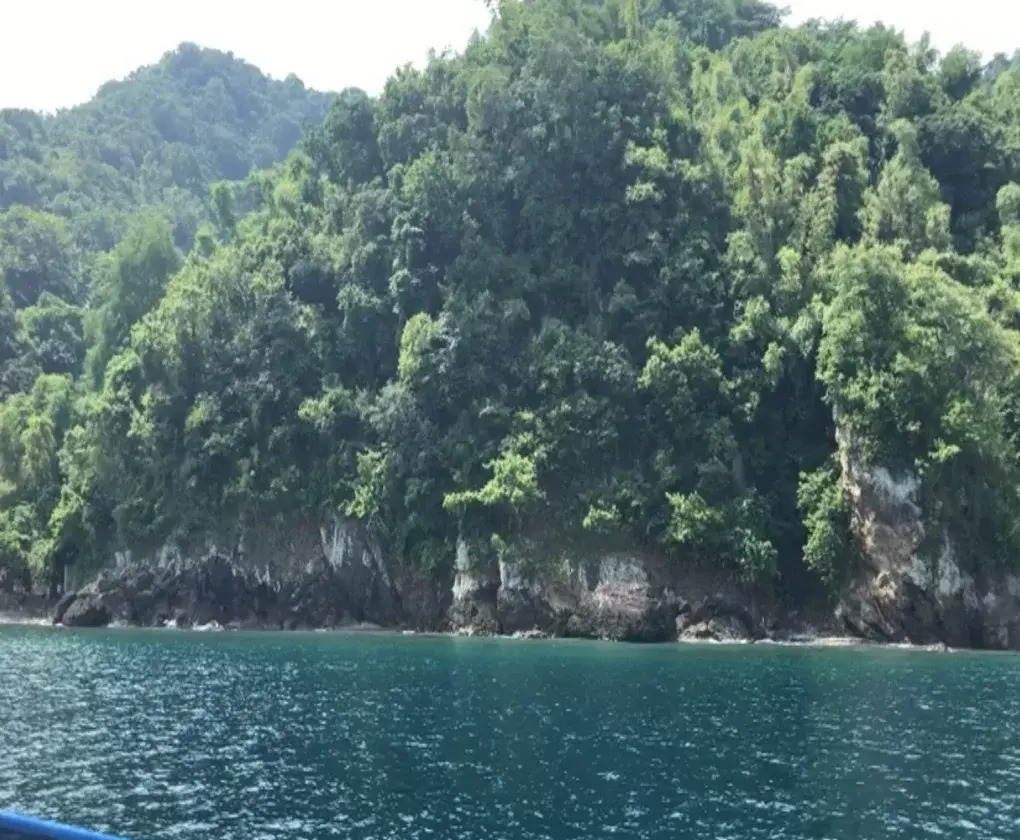 Beach Front Property Anilao