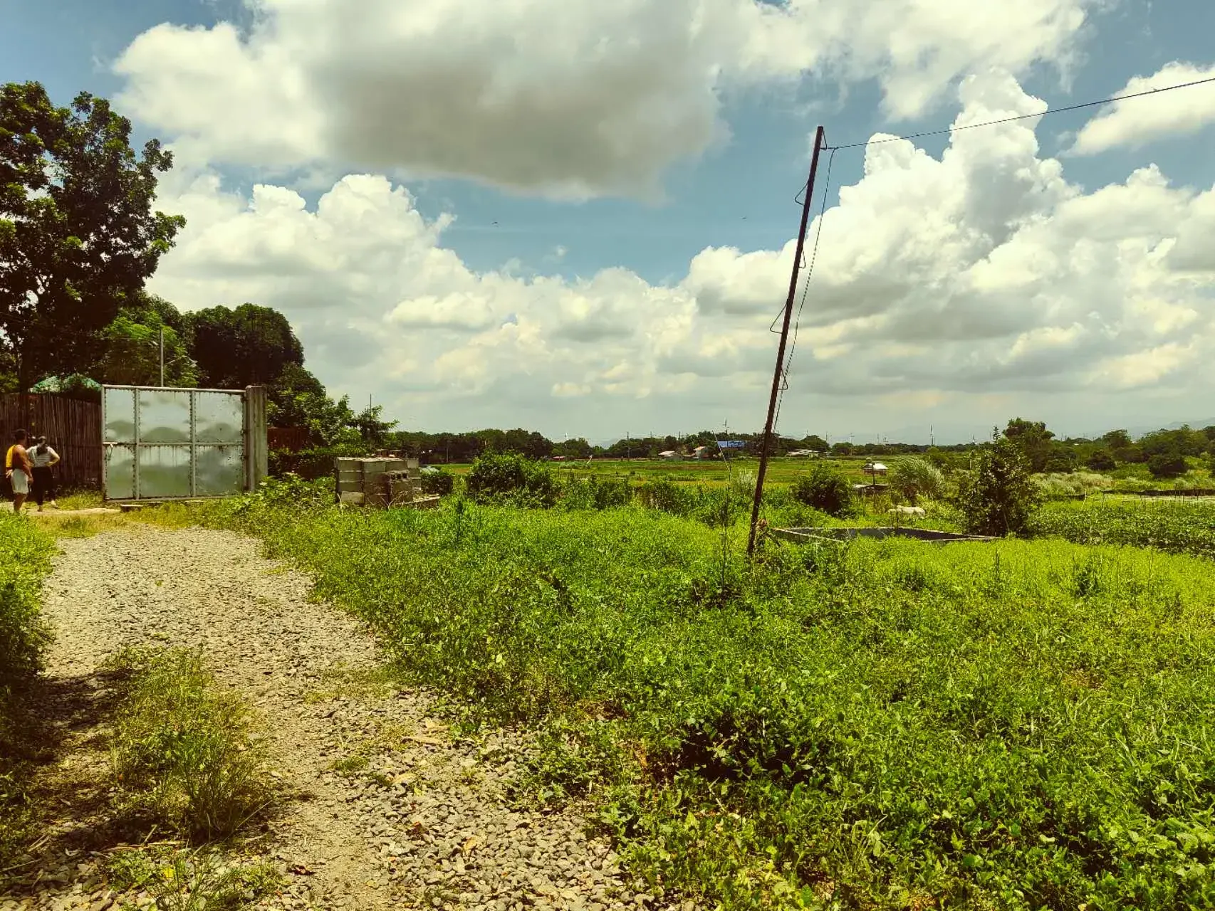 Purok 4 Sapang Putik,san Ildefonso Bulacan, photo 3