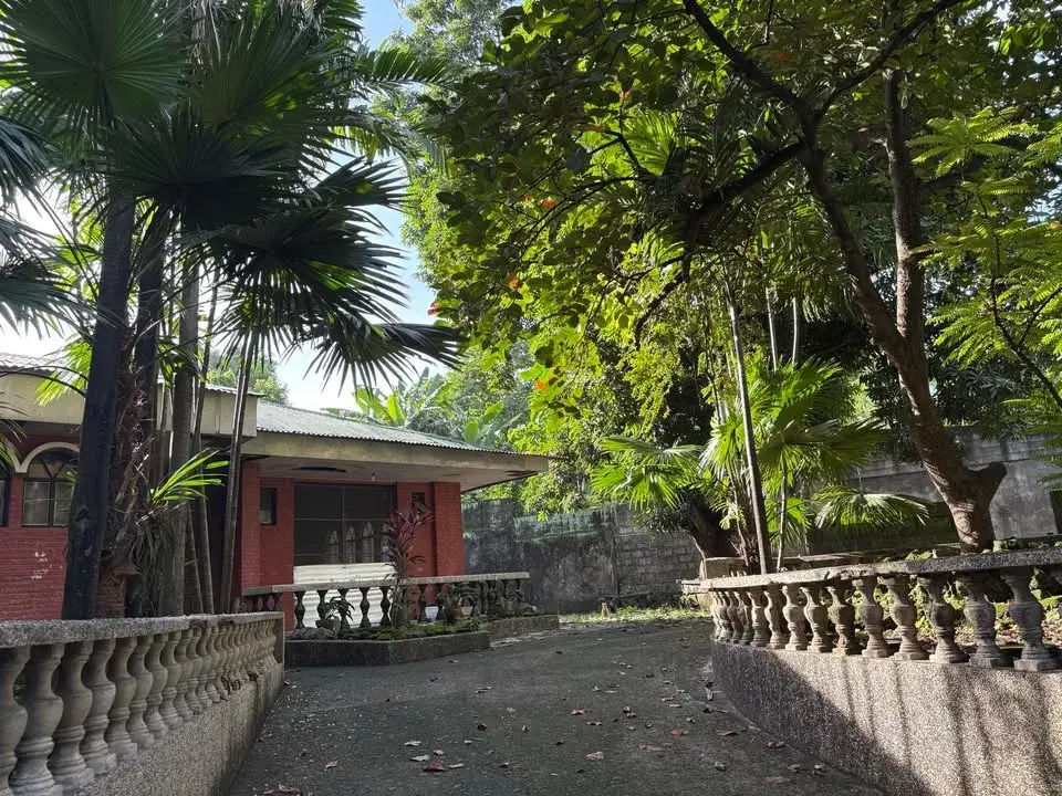 San Francisco Del Monte Qc Lot, photo 3