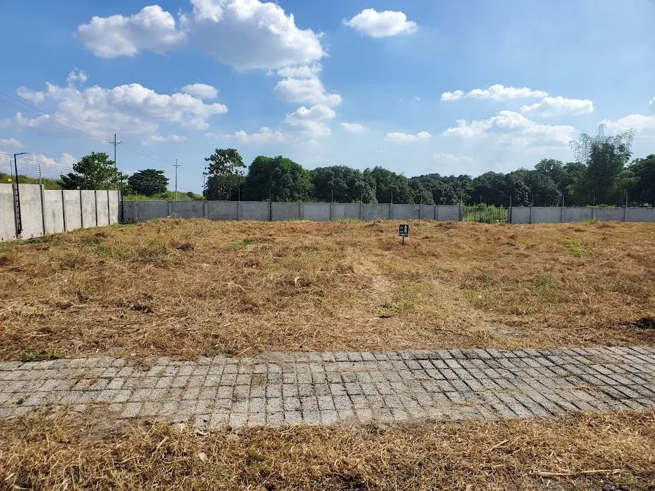 Alviera Park Estates, photo 2