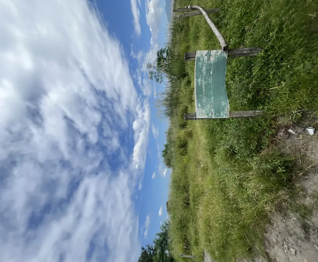Agricultural Lot For Sale Along Nlex, photo 3