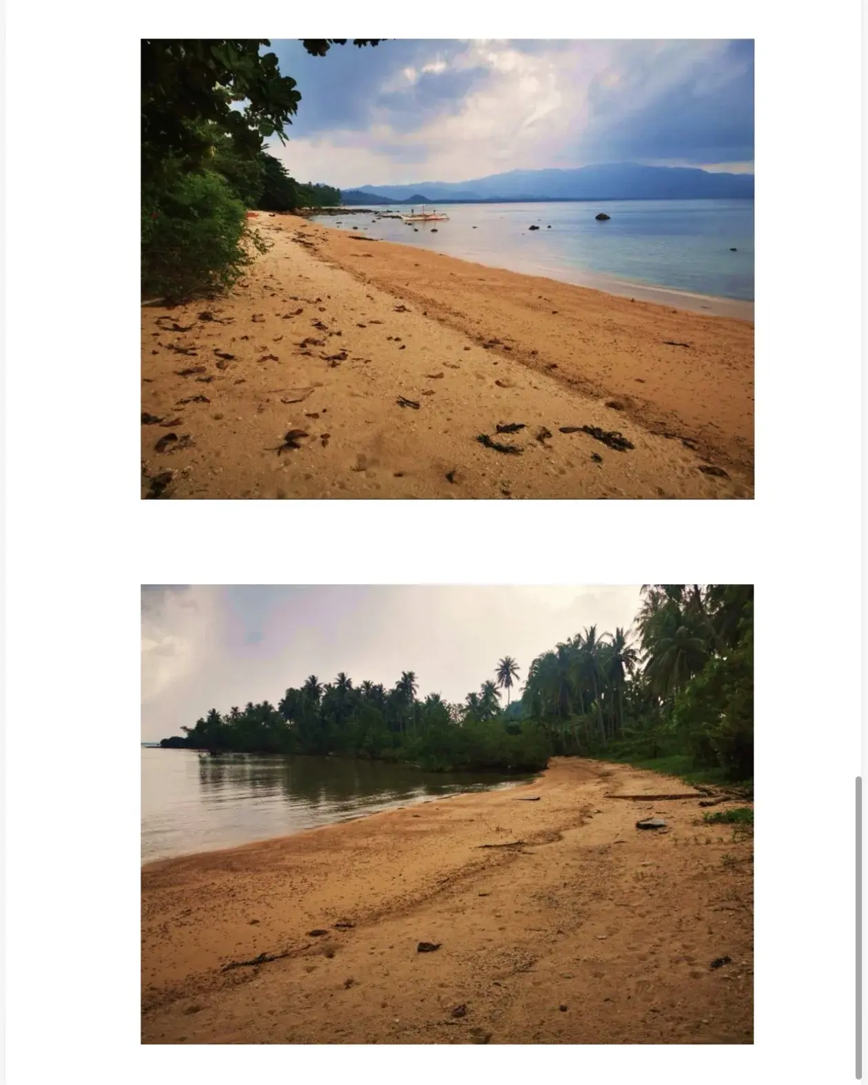 Palawan San Vicente Beachfront Raw Land, photo 2