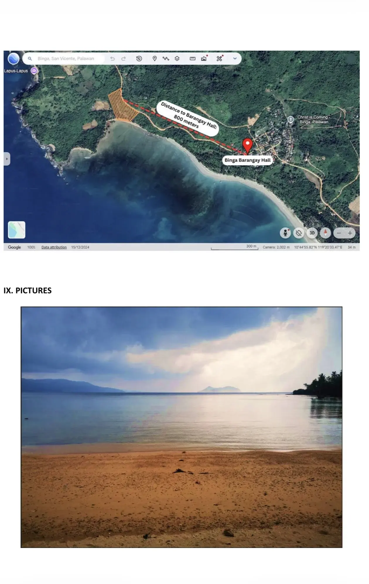 Palawan San Vicente Beachfront Raw Land, photo 3