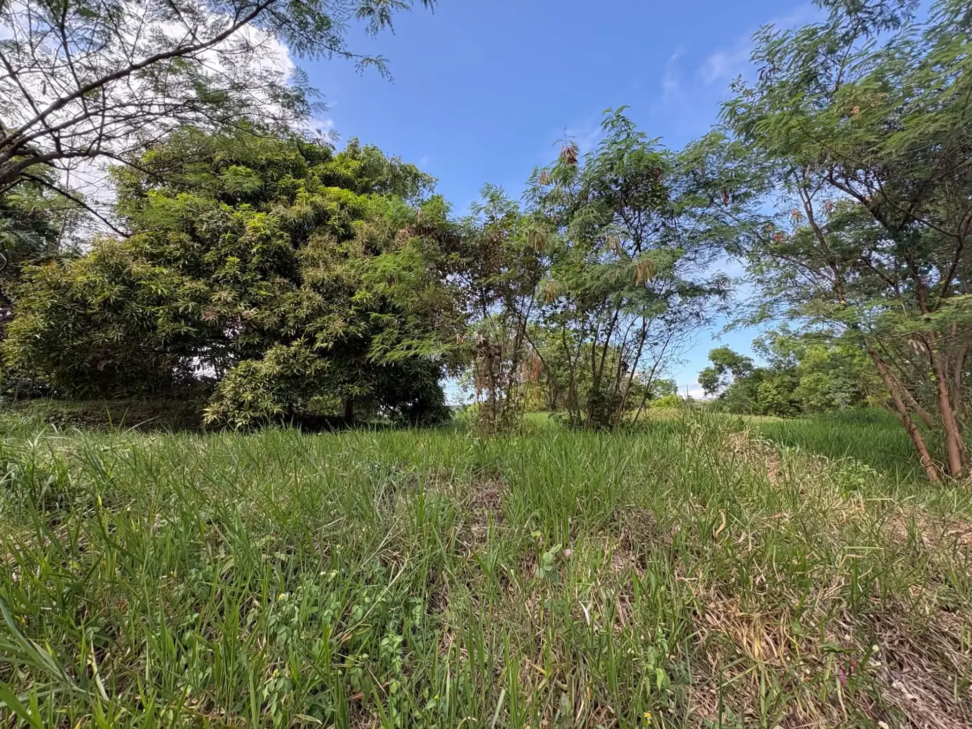 Eastland Heights, photo 2