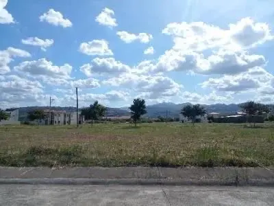 Alviera