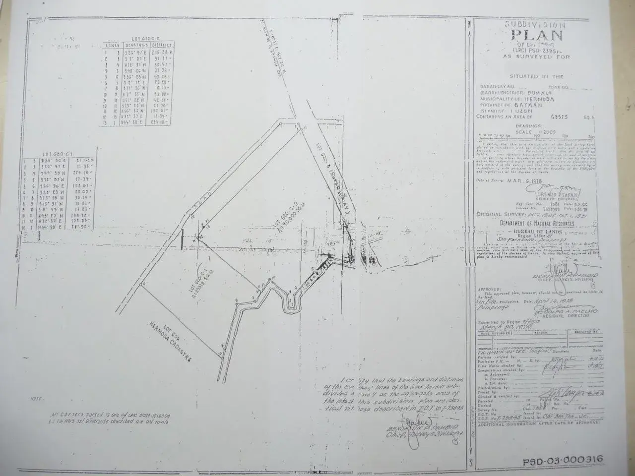 Corner Lot Along Roman Superhighway - Mambog, Hermosa, Bataan, photo 3