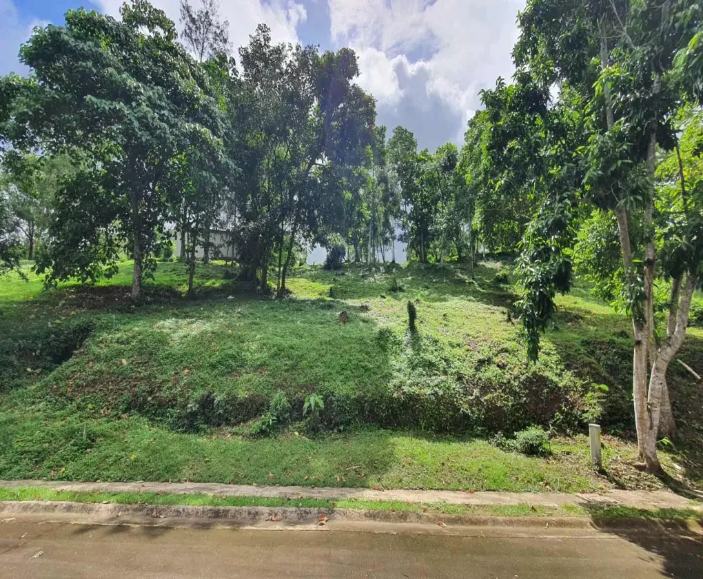 Ayala Westgrove Heights, photo 2