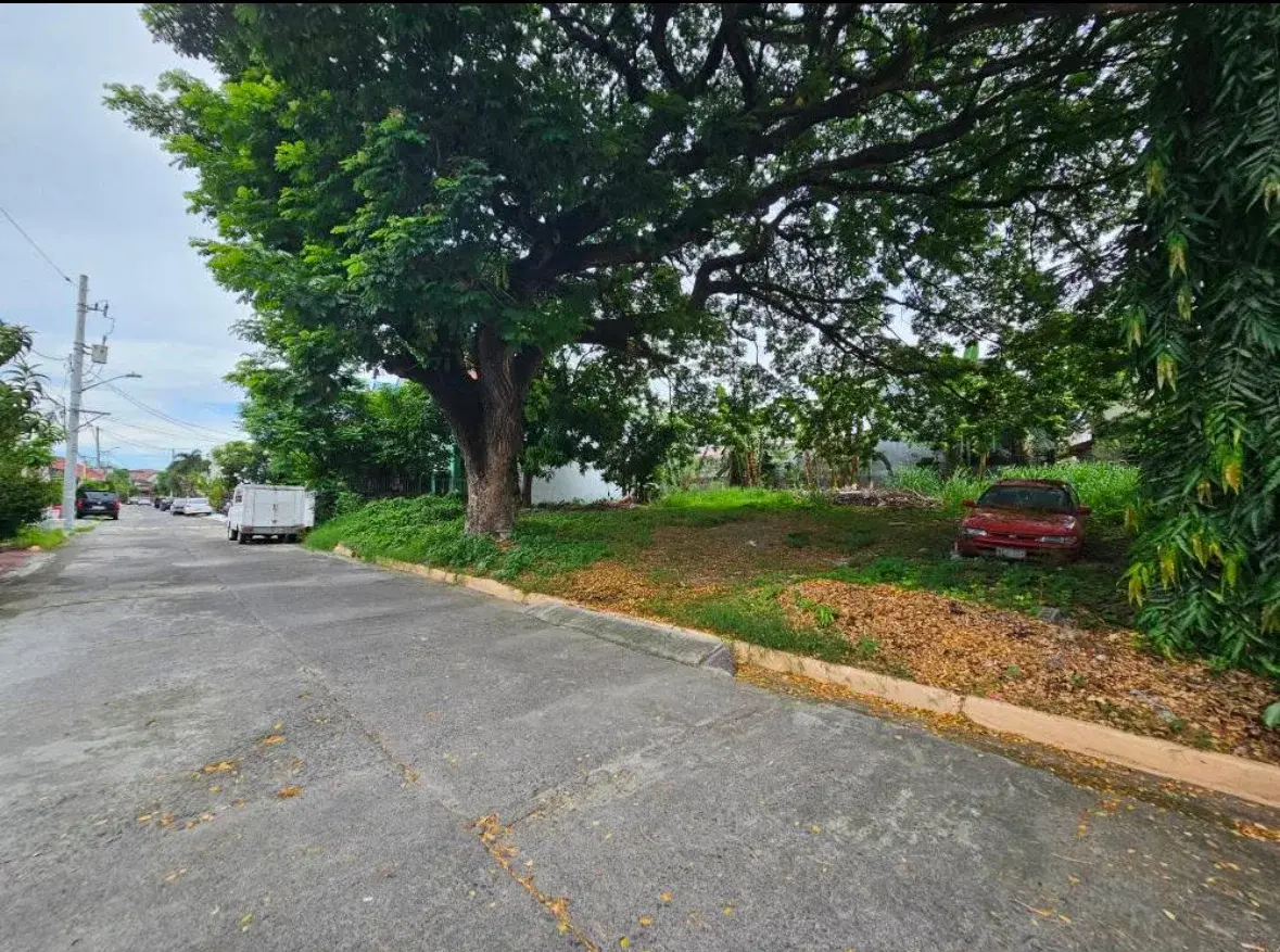 Betterliving, photo 2