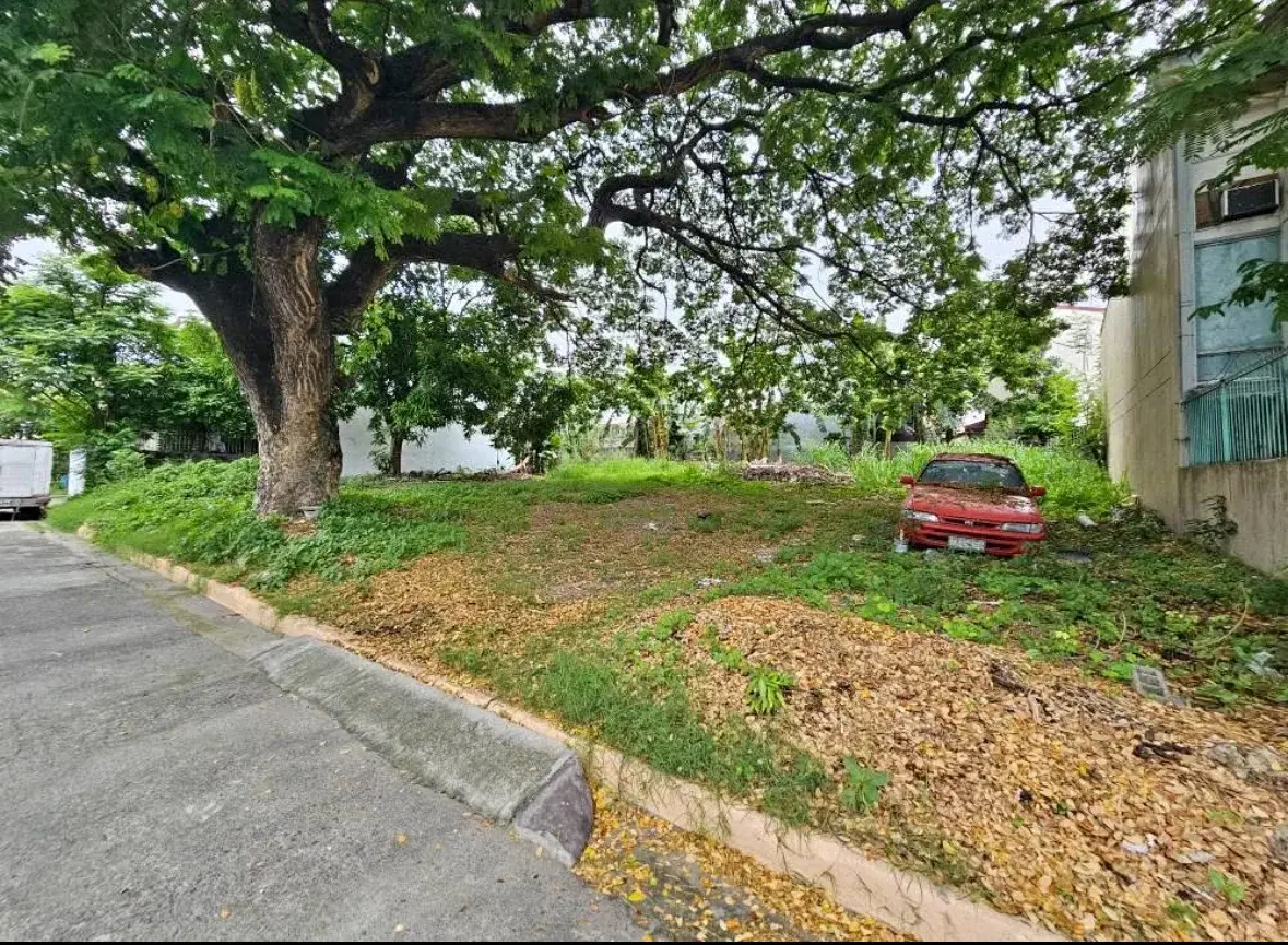 Betterliving, photo 3