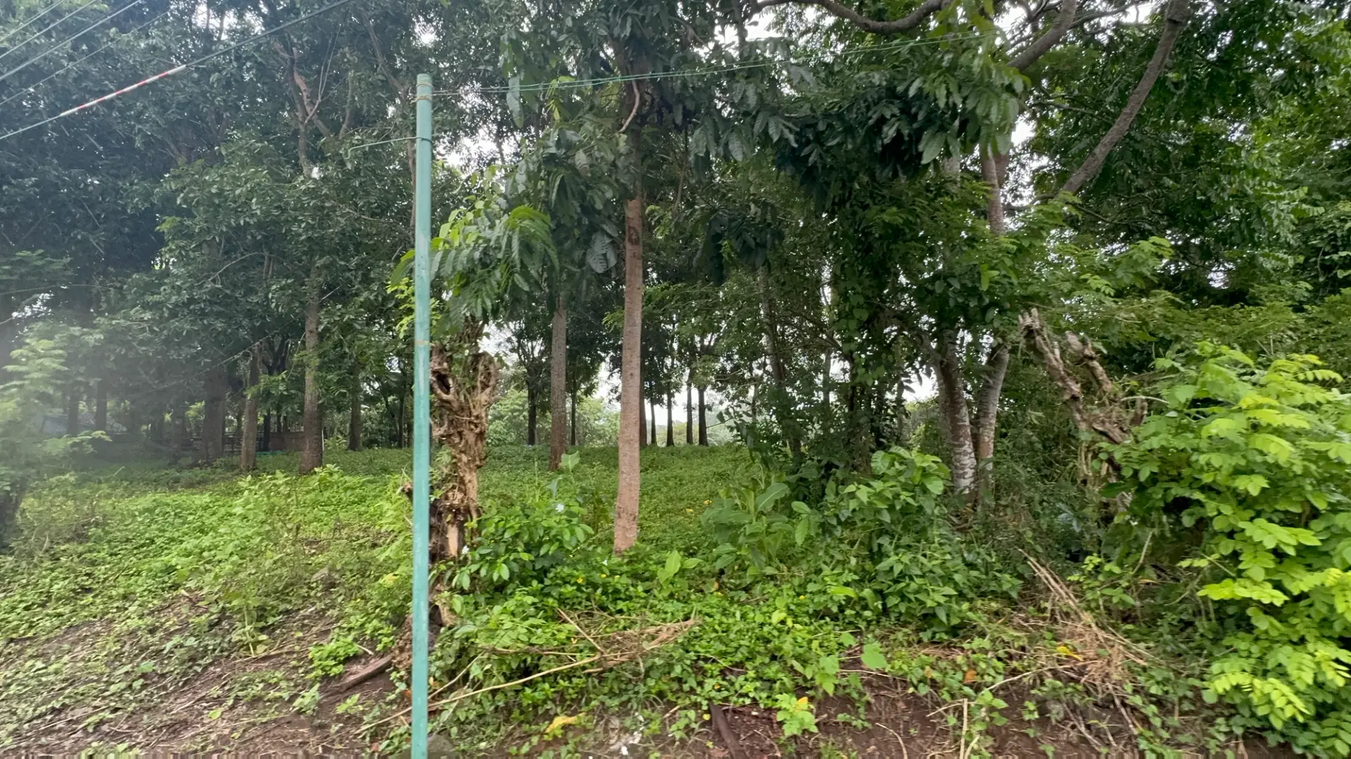 Alingaro, General Trias