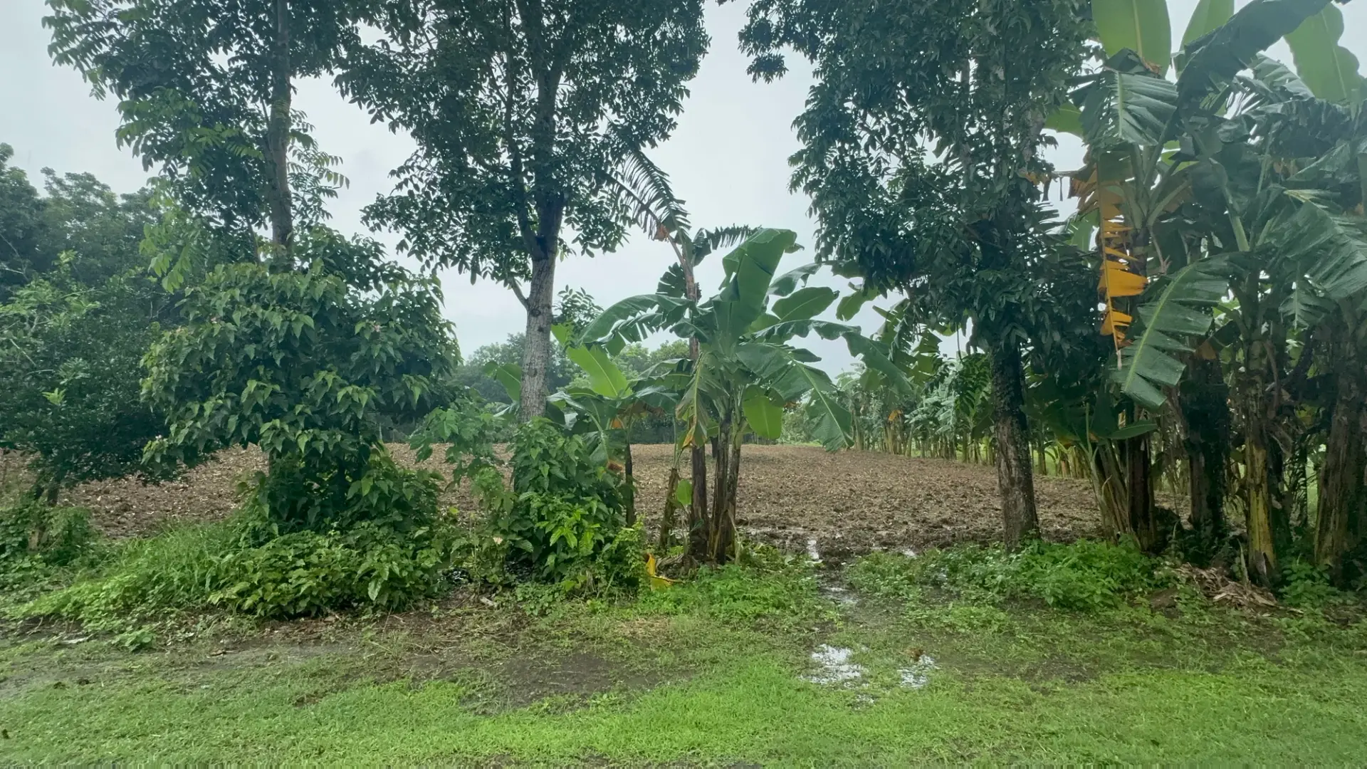 Alingaro, General Trias, photo 2
